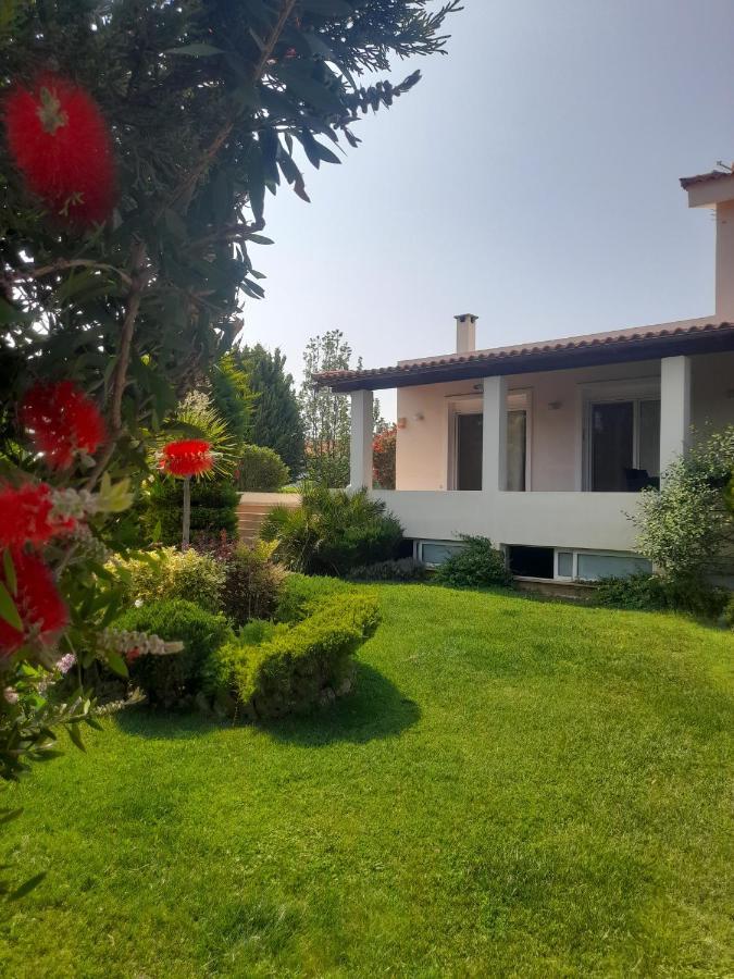 Beautiful Summer Villa In Chalkoutsi Khalkoutsion Exterior photo