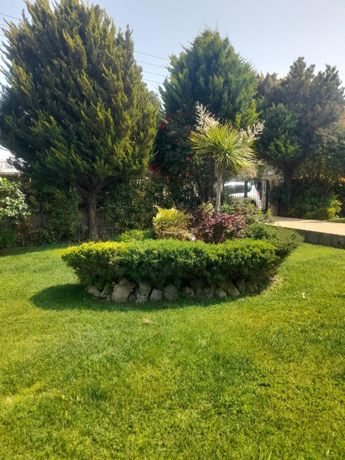 Beautiful Summer Villa In Chalkoutsi Khalkoutsion Exterior photo