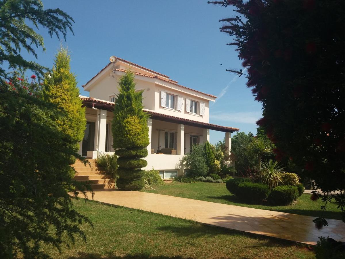 Beautiful Summer Villa In Chalkoutsi Khalkoutsion Exterior photo