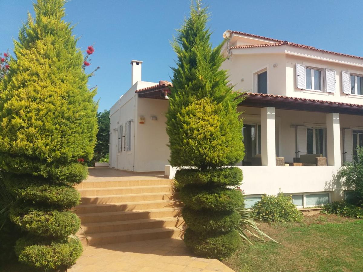 Beautiful Summer Villa In Chalkoutsi Khalkoutsion Exterior photo