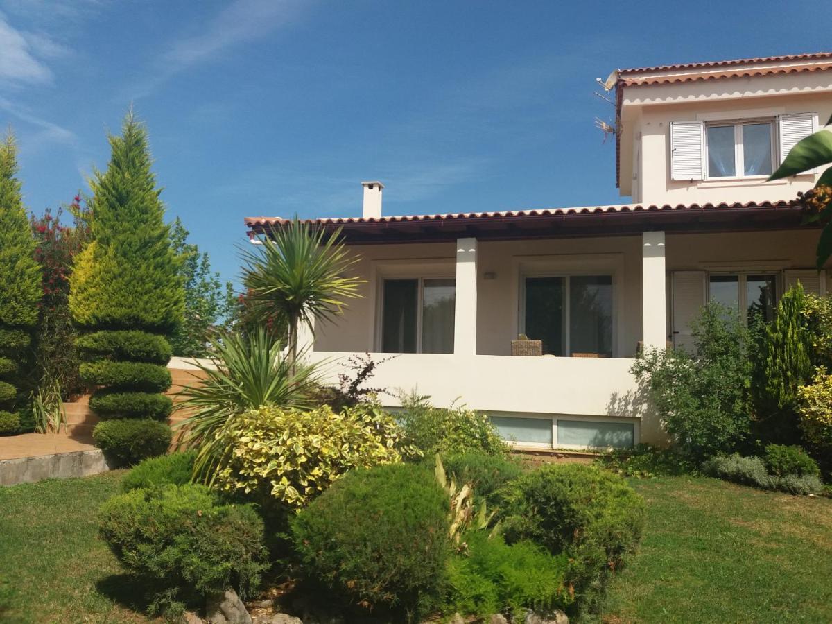 Beautiful Summer Villa In Chalkoutsi Khalkoutsion Exterior photo