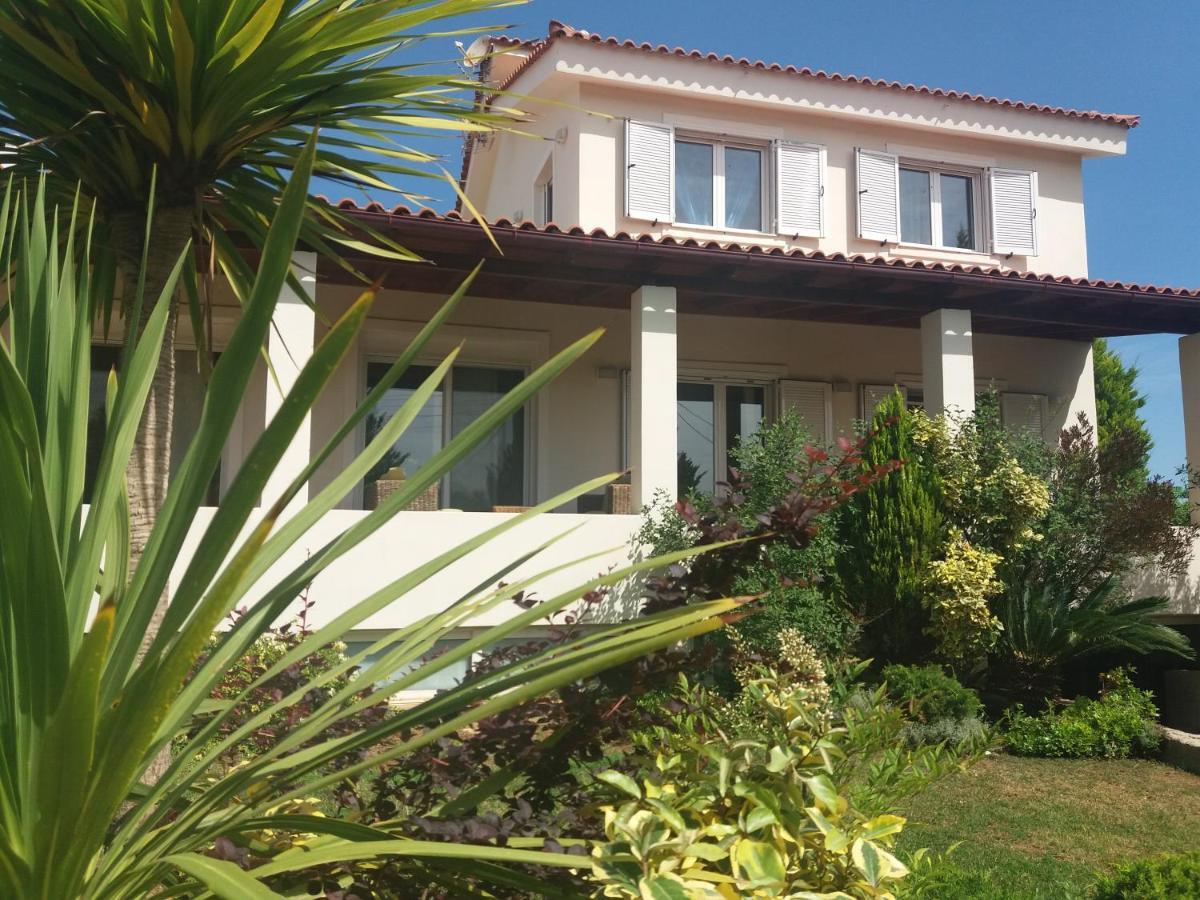 Beautiful Summer Villa In Chalkoutsi Khalkoutsion Exterior photo